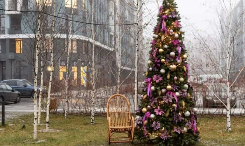 Trang trí Noel ngoài trời bằng cây thông Noel basic