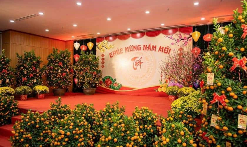 Trang Trí Sân Khấu Tết Với Cây Quất Cảnh Rực Rỡ