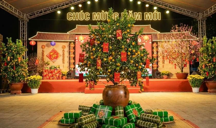 Trang Trí Sân Khấu Với Cây Quất Cảnh Đẹp