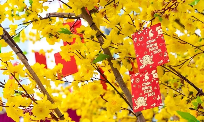 Trang trí không gian Tết mầm non 2026 bằng bao lì xì