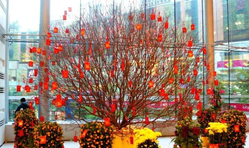 Cách trang trí Tết văn phòng với cây đào, cây mai