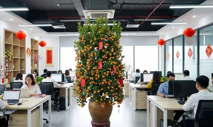 Decor khu vực làm việc chung mùa Xuân