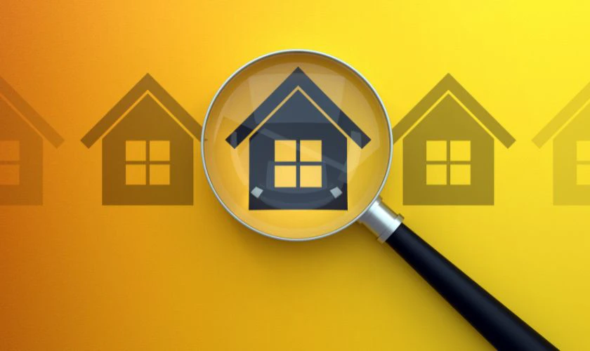 Cập nhật nhiều lựa chọn mới