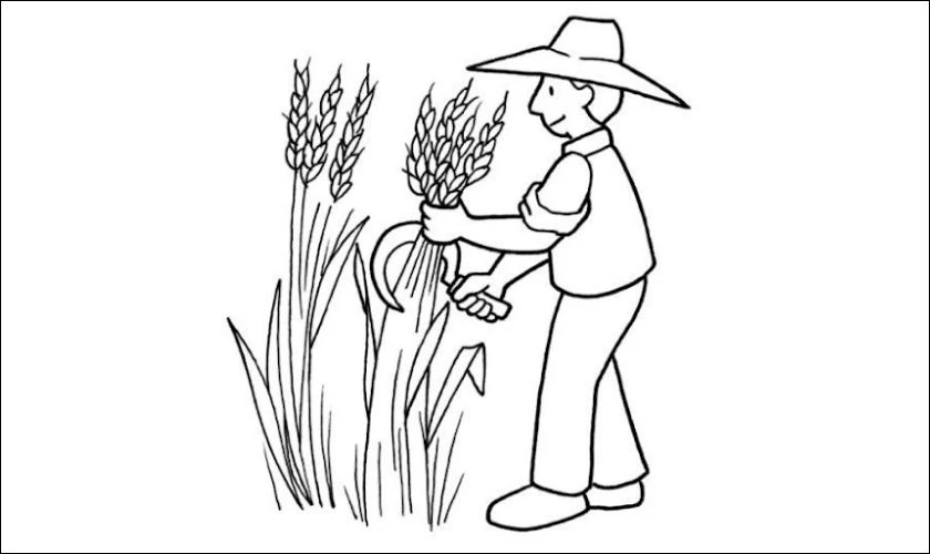 Tranh tô màu chủ đề gặt lúa