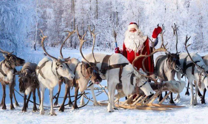 Ảnh chụp ông già Noel và đàn tuần lộc