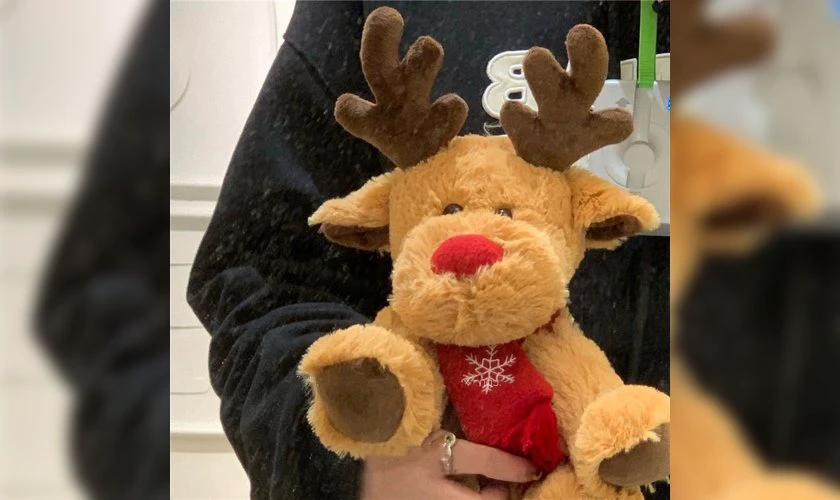 Gấu bông trending