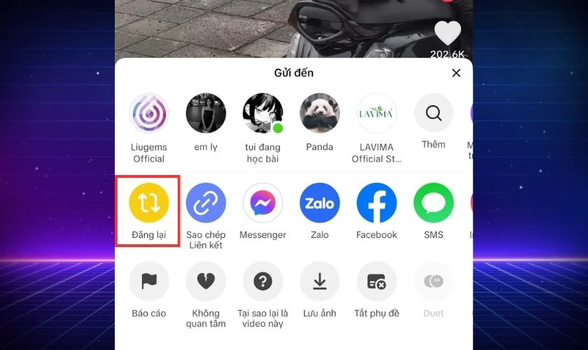 Giải đáp đăng lại trên TikTok là gì