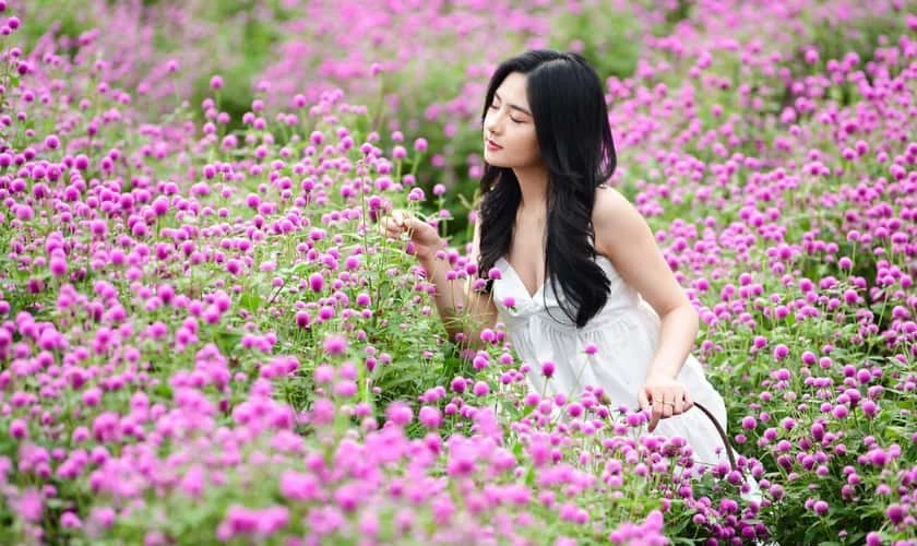 Vườn hoa Nhật Tân