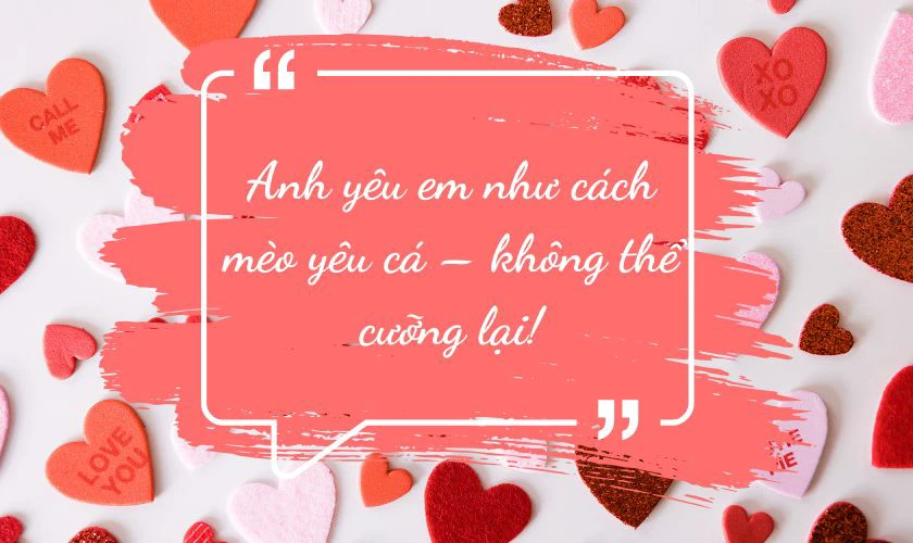 14/2 quote hài hước