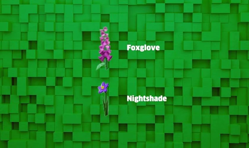 Cây họ Toxic Grow a Garden