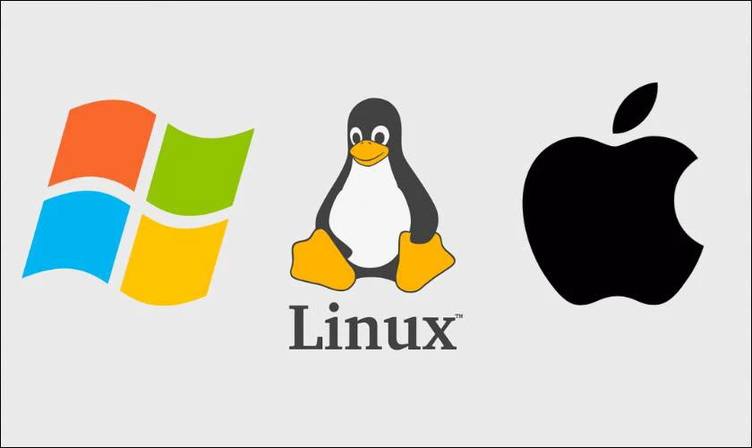 Tương thích trên nhiều hệ điều hành (Linux, Windows, Mac)