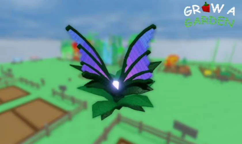 Wispwing Grow A Garden là gì?