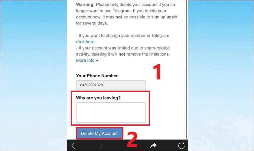 Nhập lý do xóa tài khoản rồi chọn Delete My Account