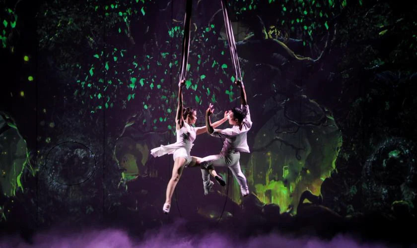 Xu Hướng Quà Tết 2026 Bính Ngọ: Chú Trọng Giá Trị, Chất Lượng Xu Hướng Quà Tết 2026 Hay