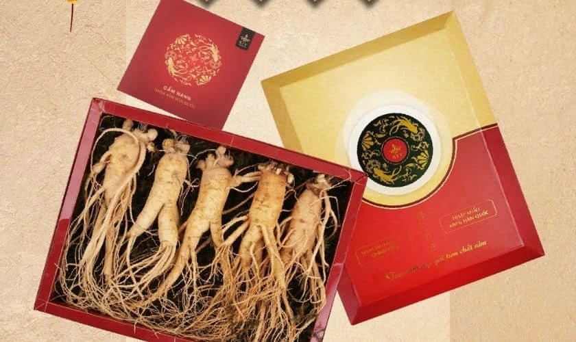 Xu hướng quà Tết 2025 gồm những món nào