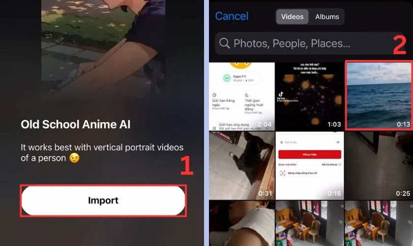 Nhấn Import và chọn video