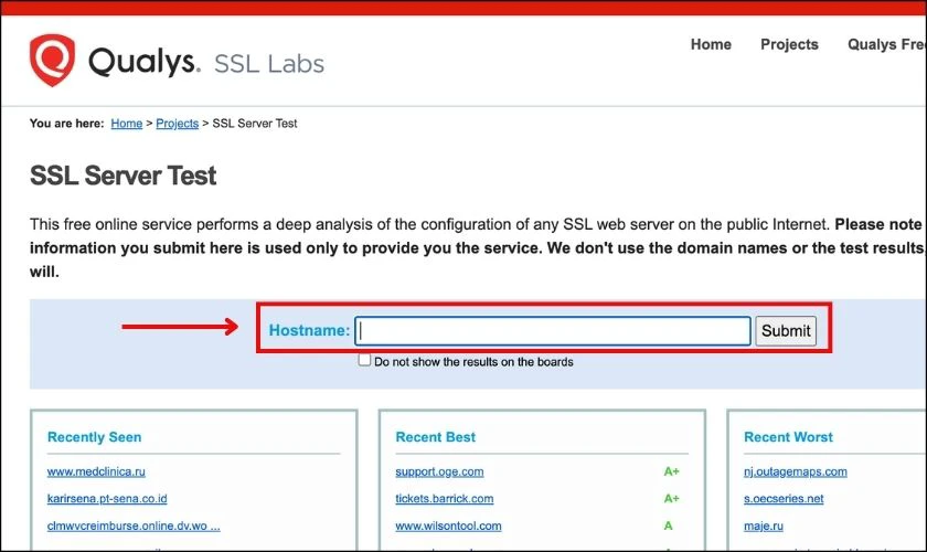 Nhập URL của trang web cần kiểm tra vào ô hostname