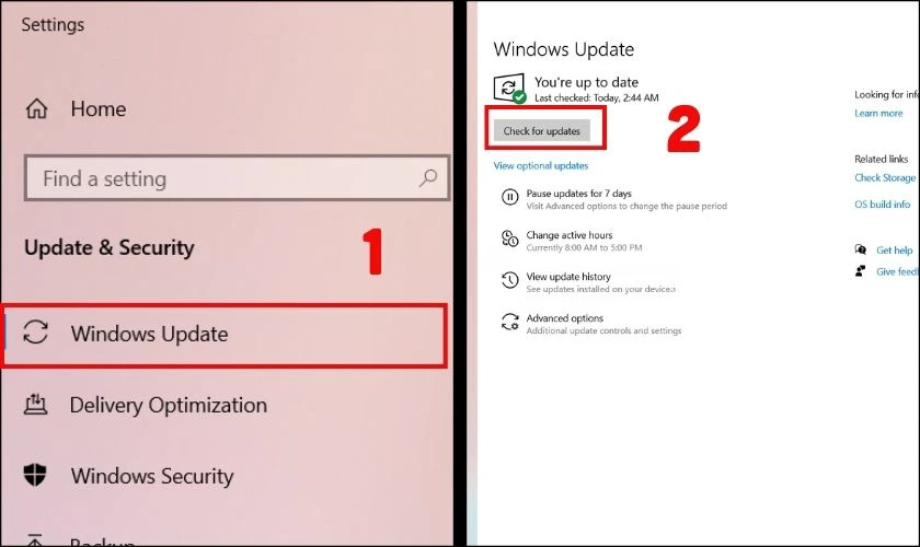 Nhấn vào Windows Update và chọn Check for updates