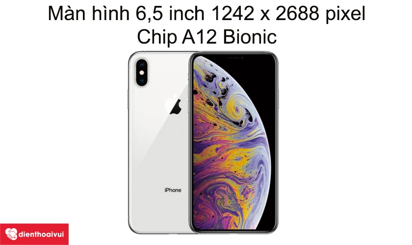 Màn hình 6,5 inch 1242 x 2688 pixel, chip A12 Bionic