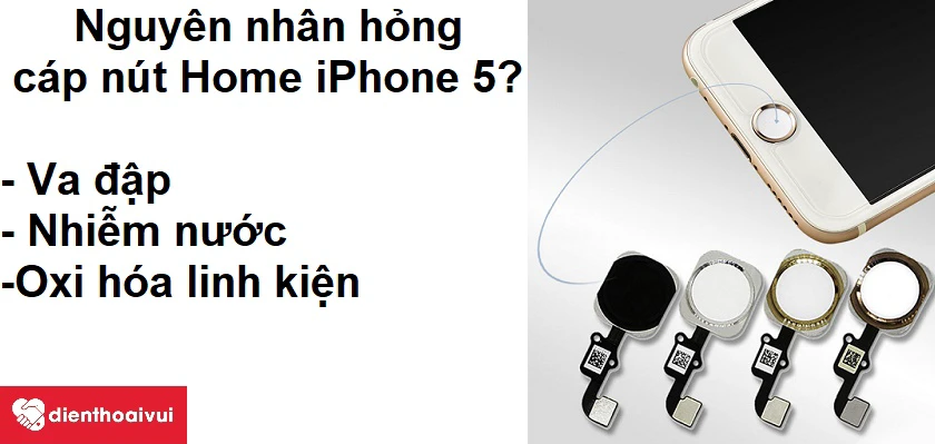 Thay nút Home iPhone 5 có mất vân tay không?