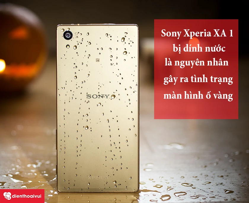 Điện thoại Sony Xperia XA1 bị dính nước dẫn đến ố vàng
