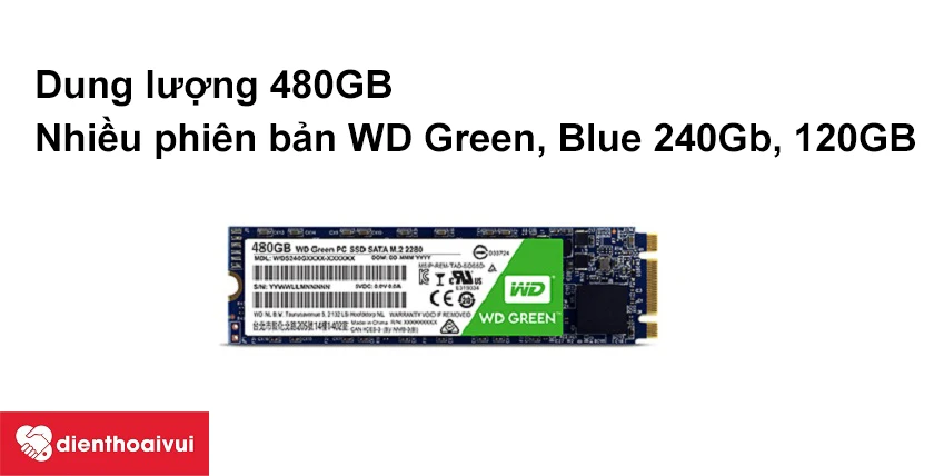 Thay ổ cứng SSD Western Digital 480GB 2.5 INCH SATA 3 giá rẻ