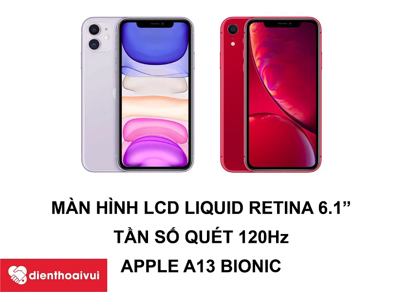 man-hinh-LCD-Liquid-Retina-6.1-iphone-11-dienthoaivui.com.vn