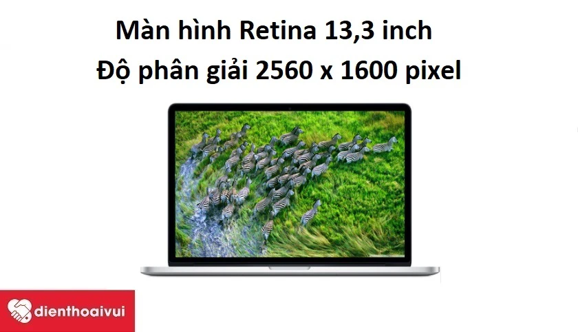 Màn hình Retina rộng tới 13,3 inch, độ phân giải 2560 x 1600 pixel