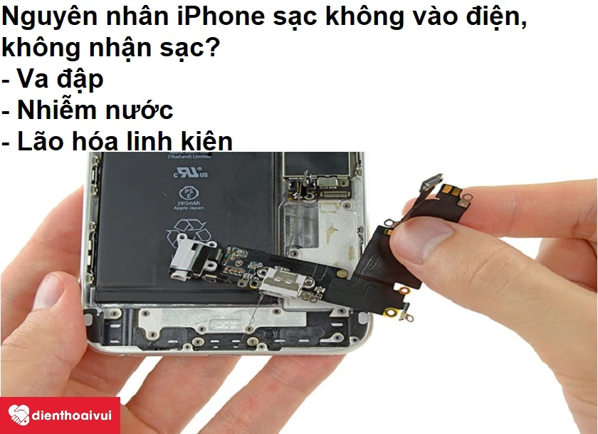 Nguyên nhân dẫn đến việc iPhone 6, 6S Plus, 7 Plus, 8 Plus sạc không vào điện, không nhận sạc