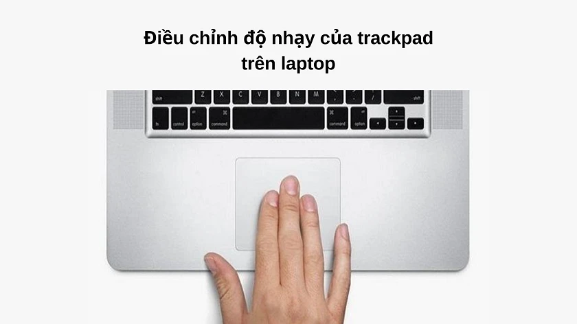 Kiểm tra thiết lập trackpad khi máy tính không nhận chuột