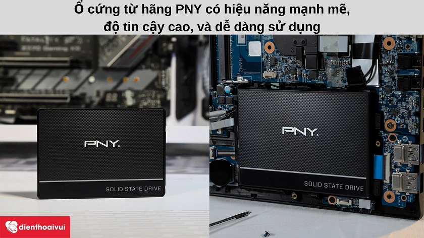 Tìm hiểu thương hiệu PNY và ổ cứng PNY CS900 480GB SATA3