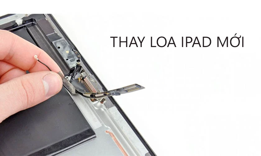 Thay loa iPad mới