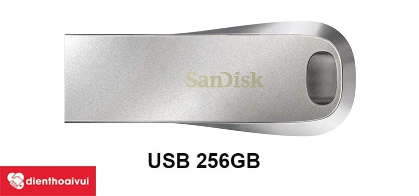 USB 256GB