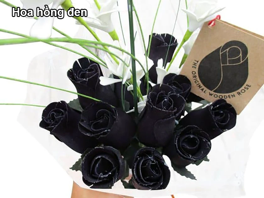 Hoa hồng đen quà tặng Halloween ý nghĩa