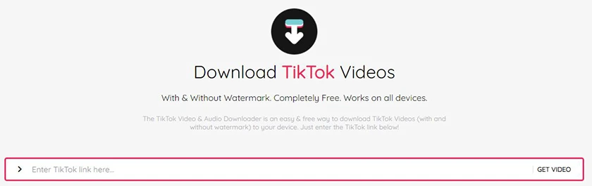 Bước 2: Truy cập website TikTok Downloader (https://tiktokdownloader.one/)