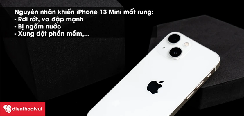 Thay rung iPhone 13 mini