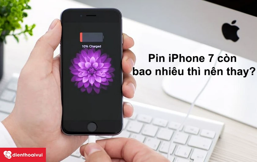 Thay pin iPhone 7 Vmas dung lượng cao 2300 mAh