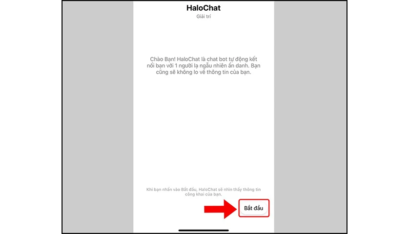 Halochat