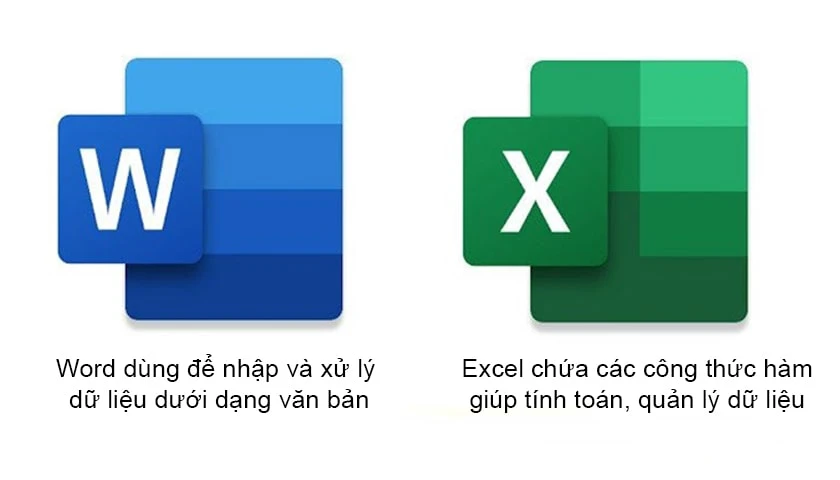 Word và Excel có gì khác nhau?