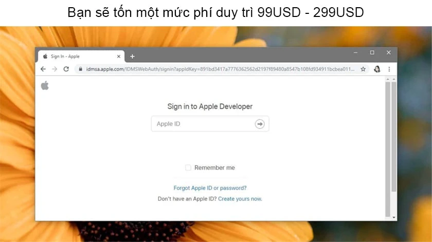 Chi phí duy trì tài khoản là 299USD/năm