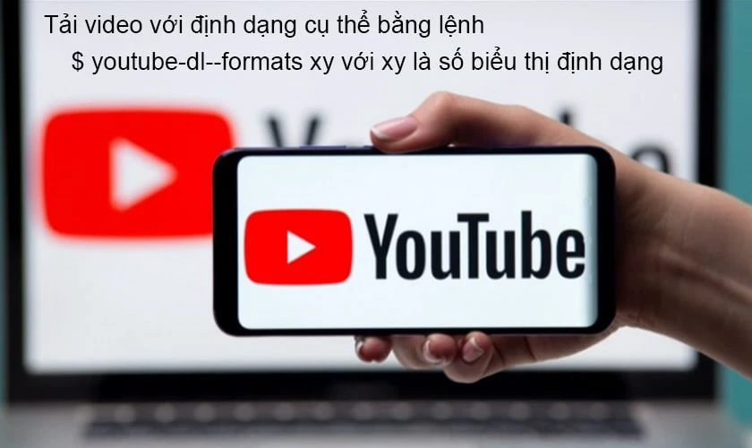 Những mẹo sử dụng Youtube dl hữu ích?