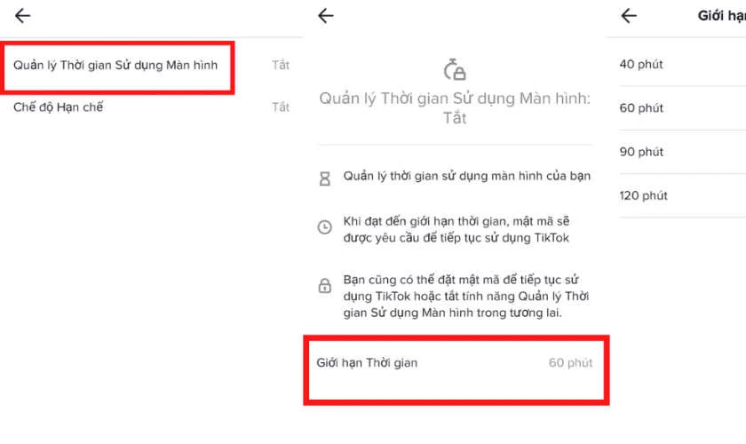 Hạn chế thời gian sử dụng Tiktok