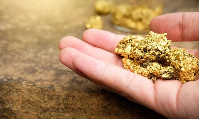 quan sát vàng dưới ánh sáng