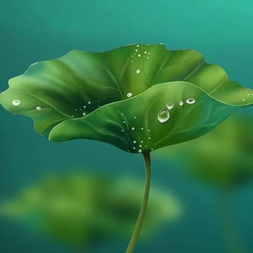 ảnh nền thi&ecirc;n nhi&ecirc;n y&ecirc;n b&igrave;nh