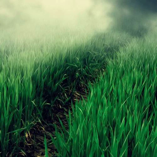 ảnh nền thi&ecirc;n nh&ecirc;n cho đồng hồ