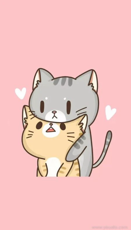 Ảnh m&egrave;o cutee