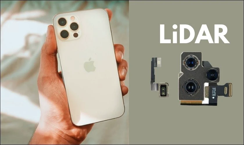 so sánh camera iphone 12 pro và iphone 12 