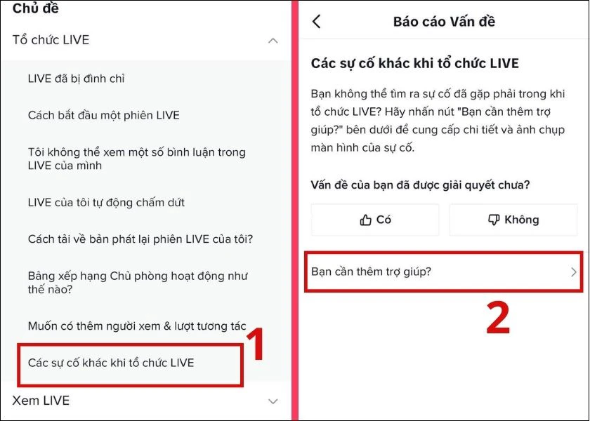 báo cáo sự cố cho quản lý tiktok 