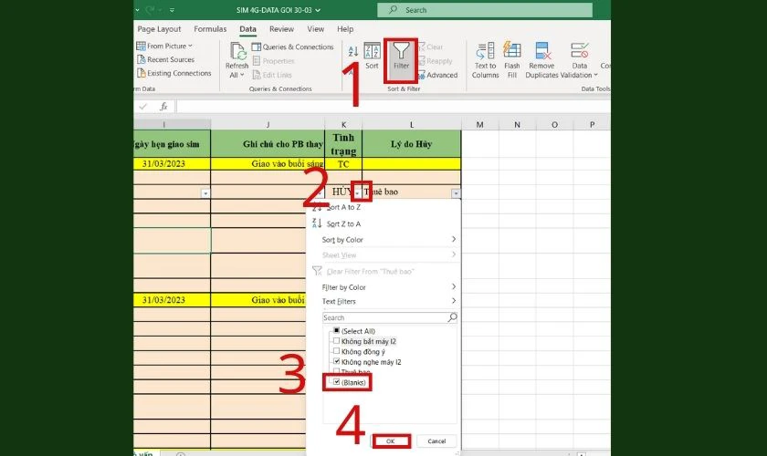 lọc dòng trống trong excel