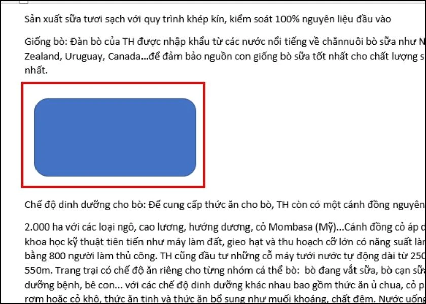 cách chèn ảnh làm nền trong word